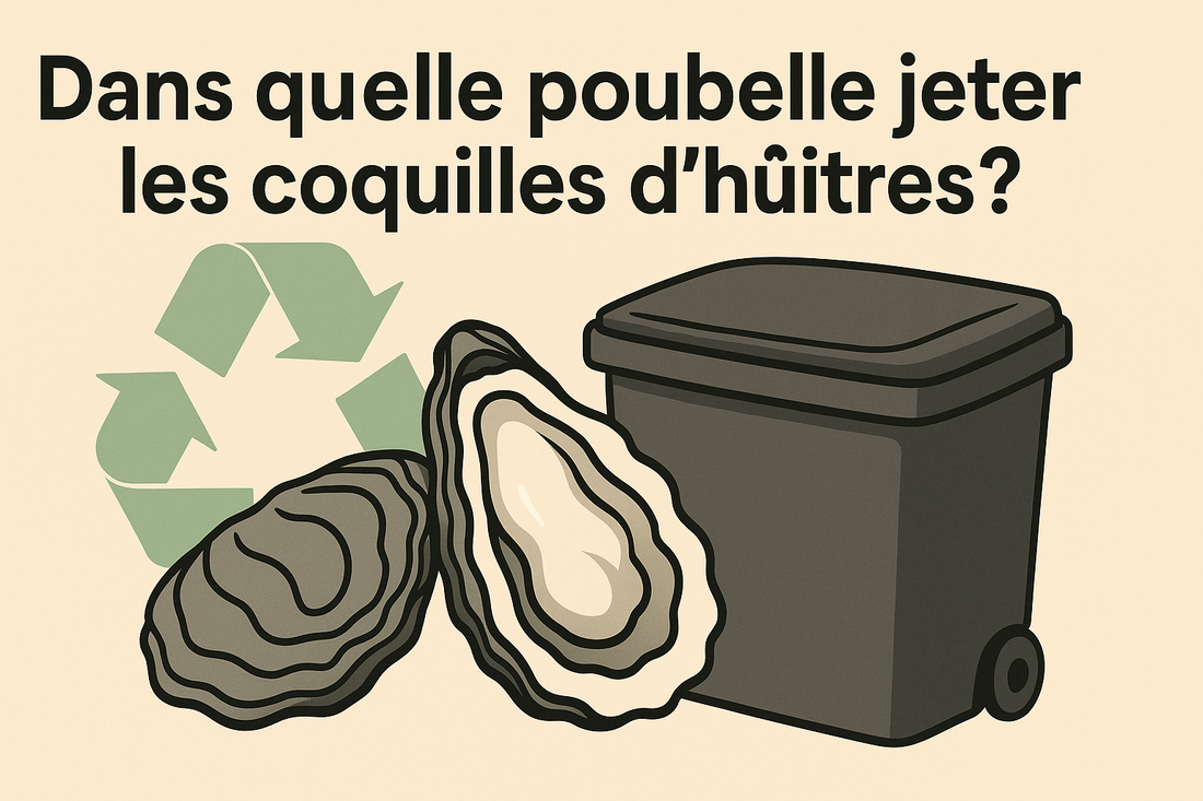 Dans quelle poubelle jeter les coquilles d’huîtres ?